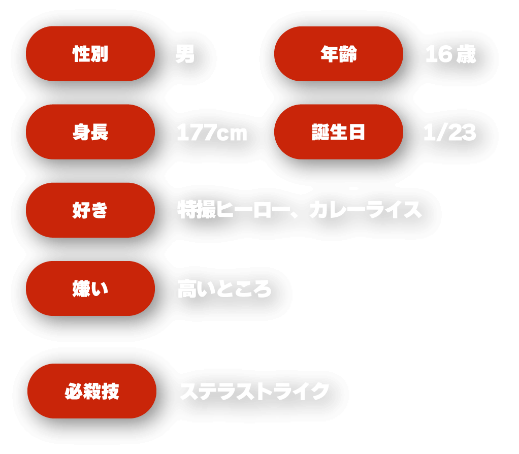 性別：男、年齢：16歳、身長：177cm、誕生日：1/23、好き：特撮ヒーロー・カレーライス、嫌い：高いところ、必殺技：ステラストライク